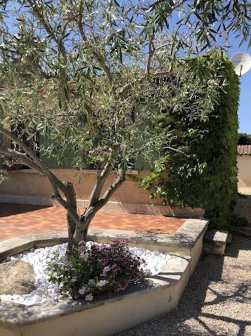 La Pitchoune : Gite Aux Pieds Des Alpilles Mouries Exterior foto