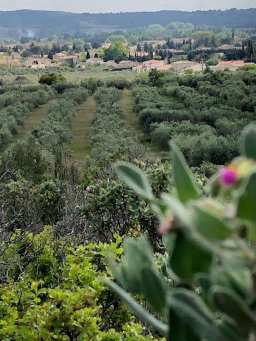 La Pitchoune : Gite Aux Pieds Des Alpilles Mouries Exterior foto