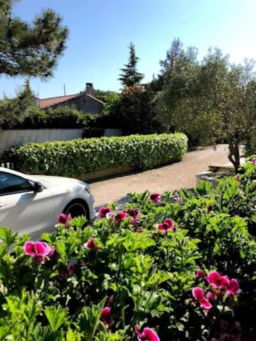 La Pitchoune : Gite Aux Pieds Des Alpilles Mouries Exterior foto